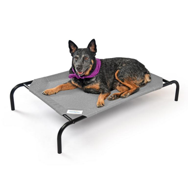 Is This The Best Dog Bed Ever?