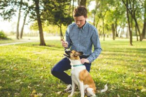 Why Consistency Matters More Than Commands in Dog Training
